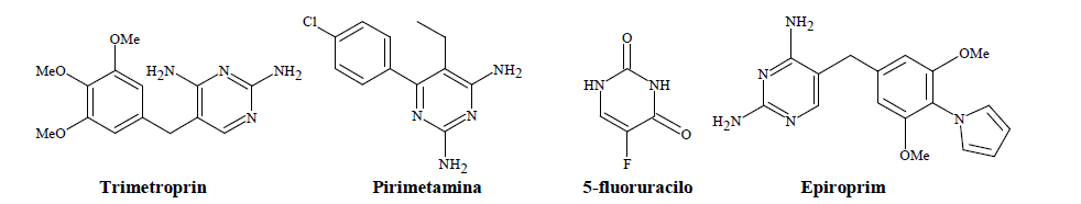 Derivados de pirimidinas inhibidoras de DHFR.