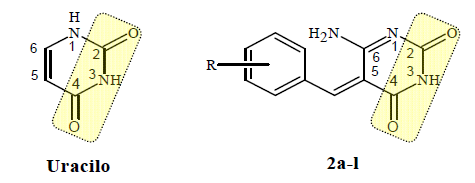 Cambios estructurales realizados en las posiciones C5 y C6
del uracilo.