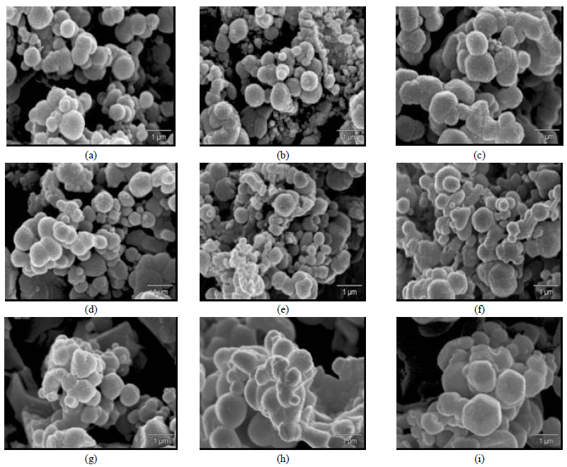 Micrograf&iacute;as electr&oacute;nicas de barrido de los s&oacute;lidos: (a)
A-MoS2-200; (b) A-MoS2-250; (c) B-MoS2-150; (d) B-MoS2-200; (e) B-MoS2-250; (f)
B-MoS2-250; (g) C-MoS2-150; (h) C-MoS2-200 y (i) C-MoS2-250.