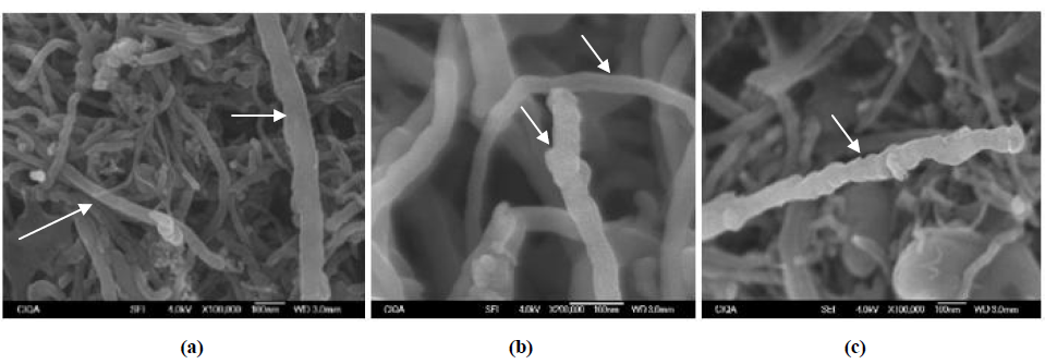 Im&aacute;genes de microscopia electr&oacute;nica de barrido de los
NTCPM: a) NTCPM-Mal&eacute;ico, b) NTCPM-Mal&oacute;nico
y c) NTCPM-Tart&aacute;rico.