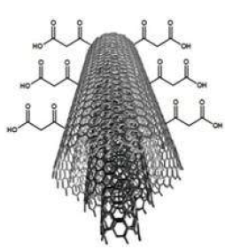 Posible interacci&oacute;n entre el NTCPM y el &aacute;cido tart&aacute;rico.