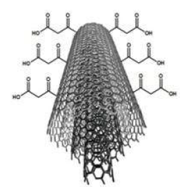 Posible interacci&oacute;n entre el NTCPM y el &aacute;cido mal&oacute;nico.