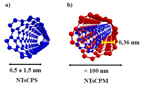 Tipos de nanotubos de carbonos: a) Nanotubos de pared simple (NTsCPS) y b)
Nanotubos de pared m&uacute;ltiple (NTsCPM).