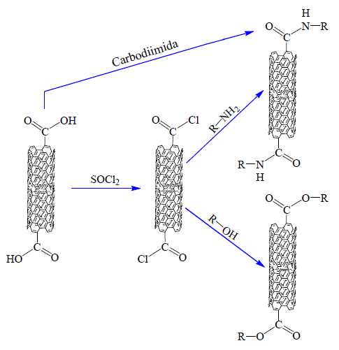 Representaci&oacute;n esquem&aacute;tica del tratamiento de un NTsCPMCOOH con cloruro de
tionilo y subsiguiente amidaci&oacute;n u esterificaci&oacute;n. Para simplificar, la
descripci&oacute;n aqu&iacute;, no se est&aacute;n considerando la naturaleza y ubicaci&oacute;n de las
funcionalidades. S&oacute;lo se muestra un grupo funcional por el extremo del tubo.