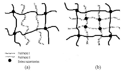Estructura de
hidrogeles: (a) semi-IPN; (b) full IPN3