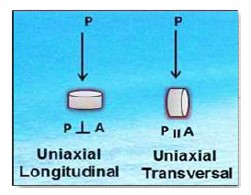 Ubicaci&oacute;n en
el plano de los geles