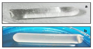 Hidrogeles
sintetizados: a) HG PAAm, b)
HG de PAAm/ PVA