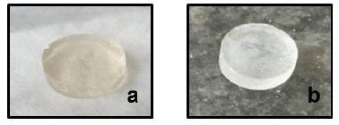 Xerogeles
de: a) PAAm 100, b) PAAm/PVA