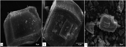  Micrograf&iacute;as electr&oacute;nicas de barrido de los materiales: (a) ZSM-5(0,20), (b)
ZSM-5(0,30) y (c) ZSM-5(0,40).