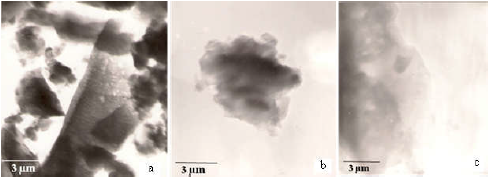 Micrograf&iacute;as electr&oacute;nicas de transmisi&oacute;n de los materiales (a) ZSM-5(0,20), (b)
ZSM-5(0,30) y (c) ZSM-5(0,40).
