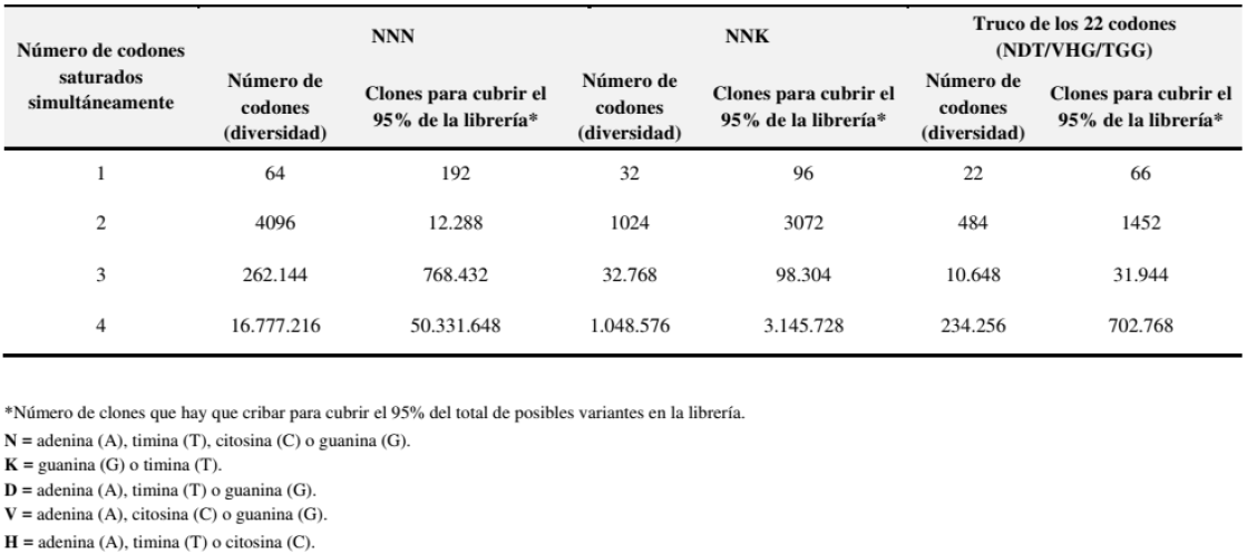 Tipos de codones degenerados utilizados en mutagénesis saturada. La diversidad con NNN es de 64 codones y 20 aminoácidos, con NNK es de 32 codones y 20 aminoácidos y con el truco de los 22 codones (NDT/VHG/TGG) es de 22 codones y 20 aminoácidos.