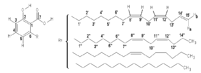Estructura del ácido 2-hidroxi-6-[(8’Z,11’Z)-pentadeca- 8’,11’,14’-trienil]benzoico
