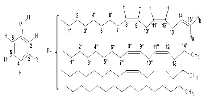 Estructura del cardanol.