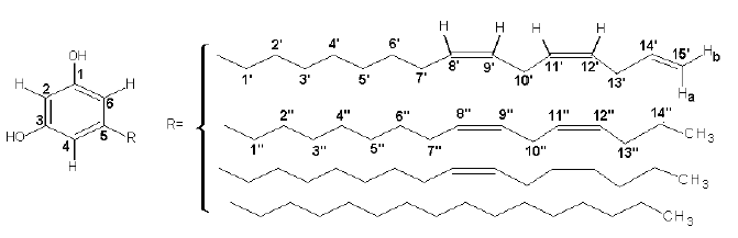 Estructura del cardol.