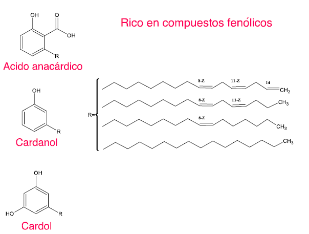 Componentes mayoritarios presentes en el aceite de la corteza del merey.
