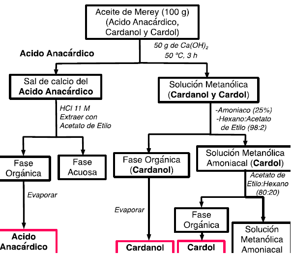 Método de separación de componentes del aceite de merey, propuesto por Paramashivappa7.