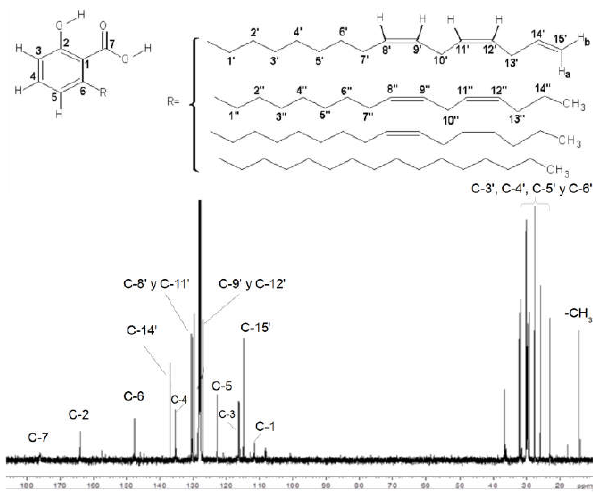 Espectro RMN-13C (C D , 100 MHz) del aceite de Merey.