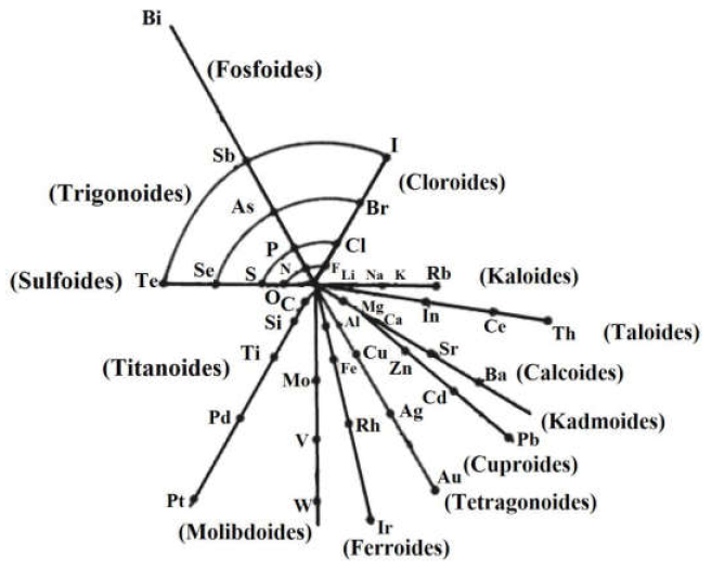 La espiral de Hinrichs. Se aprecian los
elementos constitutivos de las familias de las trece familias de elementos: fosfoides, cloroides, kaloides, taloides, calcoides, kadmoides, cuproides, tetragonoides, ferroides, molibdoides, titanoides,
sulfoides, trigonoides.