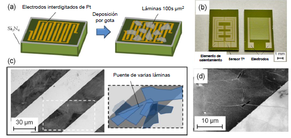 (a) Esquema representativo del proceso de fabricación del dispositivo. Los contactos eléctricos entre los electrodos interdigitados de Pt se llevan a cabo mediante deposición por gota de láminas de GO. (b) Visión frontal del dispositivo con elementos para calentamiento y de medida de temperatura en la parte trasera. (c) Imagen de SEM de las láminas de GO uniendo dos electrodos de Pt adyacentes. (d) Imagen SEM de una lámina de GO sobresaliendo por el borde de un electrodo42. Adaptada de la referencia 42 con permiso de American Chemical Society, Copyright 2013.