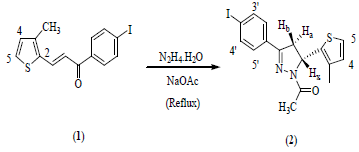 Síntesis de la pirazolina 1-(3-(4-iodofenil)-5-(3- metiltiofen-2-il)-4,5-dihidro-1H-pirazol-1-yl)etano-1-ona (2).