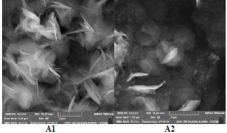 Im&aacute;genes de MEB de las part&iacute;culas de HDL obtenidas mediante la liberaci&oacute;n de NaOH de un hidrogel de PAm.