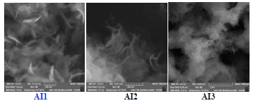 Im&aacute;genes de MEB de las part&iacute;culas de HDL obtenidas mediante la liberaci&oacute;n de NaOH de un hidrogel de PAmI.