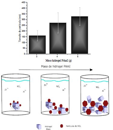 Tama&ntilde;o de las part&iacute;culas de HDL en funci&oacute;n de la masa de hidrogel de PAmI introducido a las soluciones de sales de zinc y aluminio y la representaci&oacute;n de los tama&ntilde;os resultantes dependientes de la cantidad de hidrogel a&ntilde;adido