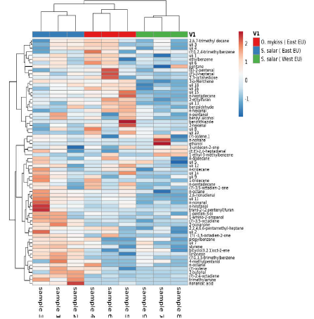 Heatmap plot showing the formation of clusters based on the volatile composition of the Salmonidae samples. Red one represents clus- ter formed with the trout O. mykiss while cluster in blue represents samples of S. salar (East Europe) and the green one S. salar (West Europe).