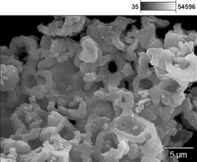 SEM Micrograph of hybrid catalysts (I).