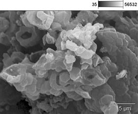 SEM Micrograph of hybrid catalysts (II).