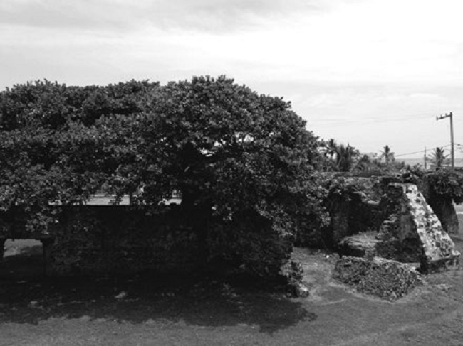 Reducto de Ant&oacute;n Lizardo