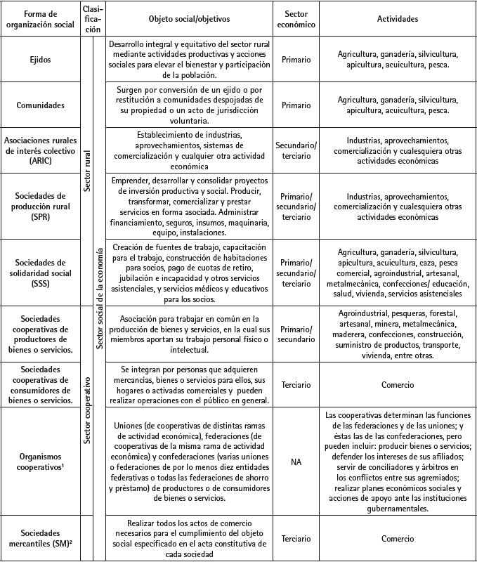 Principales características de las formas de organización social en México. Primera parte.