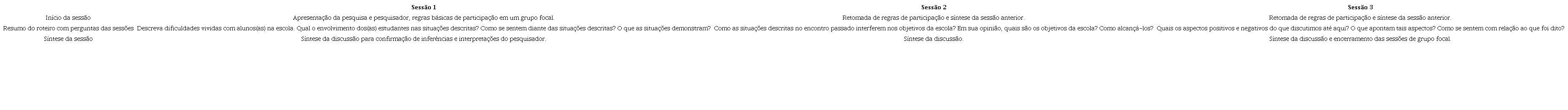 Resumo das sessões de grupo focal desenvolvidas com o grupo de 20 docentes
