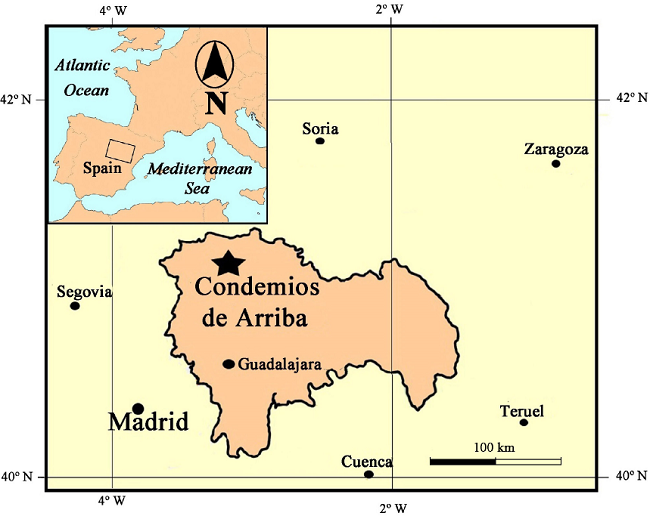 General map with location of type locality (star).