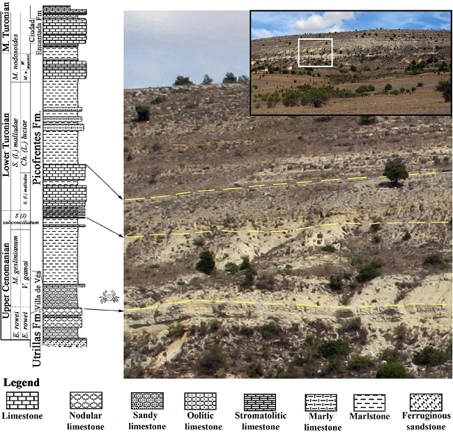 Stratigraphic column and schematic distribution of lithostratigraphic units with position of the crustacean-bearing level. Modified from 
							Barroso-Barcenilla et al. (2009) [
							www.schweizerbart.de] and Barroso-Barcenilla (pers. comm., 2014). (Drawing by Fernando Ari Ferratges Kwekel).
						