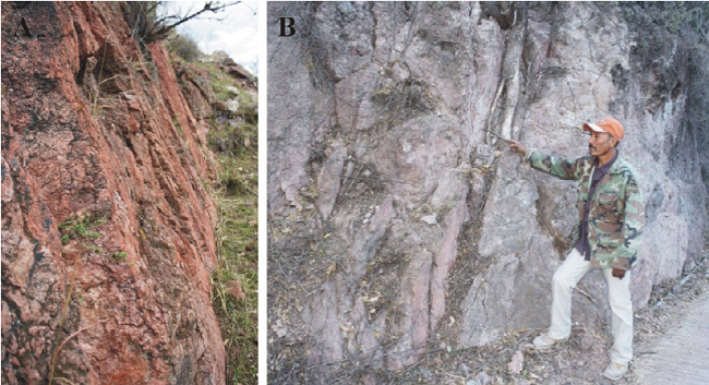 San Joaqu&iacute;n Normal Fault. A. The site lies ~2.25 km SE of Barranca de San Joaqu&iacute;n village, on Arroyo Arrastradero. The photograph depicts a nearly vertical fault plane developed on the "Santa Mar&iacute;a Ignimbrite." North lies to the right of picture. B. The locality lies in the Barranca de San Joaqu&iacute;n village. The photograph shows the fault plane [pointed out by the man] developed on a San Isidro unit-footwall block. North lies to the left of picture.