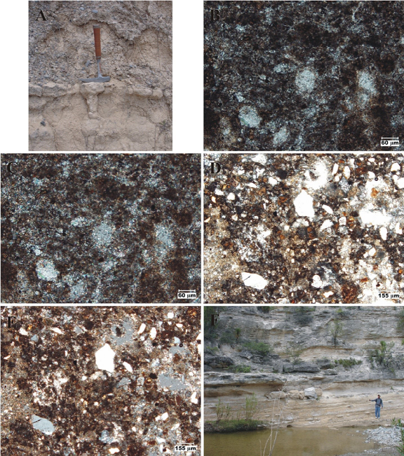 San Nicol&aacute;s Formation: Chief lithologic and petrographic features I. A. Siltstone/Claystone variety: The site is located ~1.2 km NW of San Nicol&aacute;s Tolentino, on the eastern cliff carved by the R&iacute;o San Nicol&aacute;s. The siltstone is more indurated, and forms poorly developed ledges; the claystone is thickly bedded. East lies to the right of picture. B-C. Photomicrographs of the claystone variety [10X, plane light (B), and crossed nicols (C)]: Scarce feldspar crystals set in an abundant groundmass of microcrystalline calcite and clay. D-E. Photomicrographs of the siltstone variety [4X, plane light (D), and crossed nicols (E)]: Immature, quartz-, ignimbrite-bearing, alkali feldspathic silty claystone. The grains are size-bimodal ("large" and small), mainly consisting of quartz (clear), feldspar (corroded), and lithic fragments set in a groundmass of microcrystalline calcite and clay. F. Sandstone variety: The locality lies ~1.5 km SSE of Paso del &aacute;guila, on the R&iacute;o San Nicol&aacute;s. Alternation of well indurated, medium- to coarse-grained, calcilithitic sandstone set in medium to thick strata, and well indurated, granule to gravel conglomerate set in thin to medium strata; the lower and middle sandstone and conglomerate strata show low angle tabular cross-bedding; upper strata are cut by a channel sandstone/conglomerate body [upper left]. North lies to the left of picture.