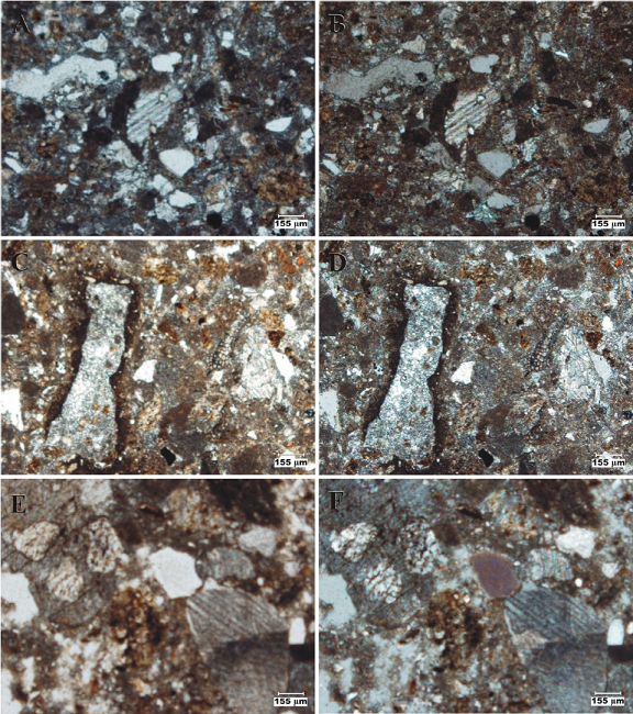 San Nicol&aacute;s Formation: Chief lithologic and petrographic features II. A-B. Photomicrographs of the fine-grained sandstone variety [4X, plane light (A) and crossed nicols (B)]: Immature, fine-grained, chert and orthoclase-bearing calcilithitic sandstone. The groundmass consists of microcrystalline calcite and clay; notice a large limestone fragment. C-D. Photomicrographs of the fine-grained sandstone variety [4X, plane light (C) and crossed nicols (D)]: Immature, fine-grained, chert and orthoclase-bearing calcilithitic sandstone. Description as above, notice a large chert fragment. E-F. Photomicrographs of the coarse-grained sandstone variety [4X, plane light (E), and crossed nicols (F)]: Immature, coarse-grained, ignimbrite-, orthoclase-bearing, chertiferous calcilithitic sandstone. Notice large limestone grains with characteristic parting due to twining.
