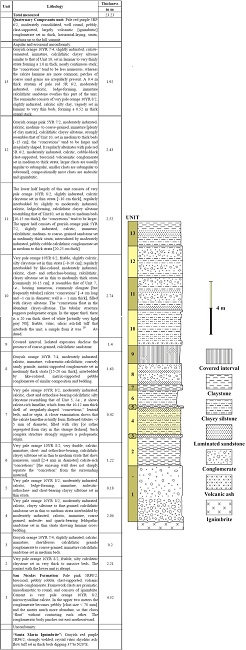 Schematic profile of the San Nicolás Formation Stratotype.