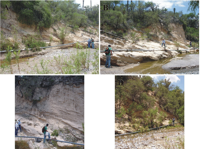 San Nicol&aacute;s Formation Principal Reference Section's selected illustrations I. A-D. The sites lie by R&iacute;o San Nicol&aacute;s ~600 m SE of Paso del &aacute;guila [see Figure 18]. A. Lower units [chiefly consisting of an alternation of well indurated, calcilihitic sandstone, friable clayey siltstone, and conglomerate strata], local dip is 25&deg; NE. North lies to the right of picture. B. Lower units [next interval above], the conglomerate strata are more abundant. North lies to the right of picture. C. Lower units [next interval above], sandstone/siltstone and conglomerate strata are nearly equally abundant. North lies to the right of picture. D. Middle units [partly covered interval], thick sandstone and conglomerate strata are discernible. North lies to the right of picture.
