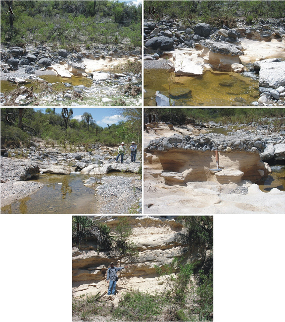San Nicol&aacute;s Formation Principal Reference Section's selected illustrations II. A-D. The sites lie by R&iacute;o San Nicol&aacute;s ~850 km SE of Paso del &aacute;guila [see Figure 18]. A. Middle units [partly covered interval], alternation of well indurated, pebble-cobble calcilithitic conglomerate set in medium strata, and moderately indurated, low angle tabular cross-bedded calcilithic sandstone set in thick strata [about 4-6 times thicker than the conglomerate beds]. North lies to the up of picture. B. Closer view of A. East lies to the right of picture. C. Upper units [partly covered interval], well indurated, cobble, calcilithitic clast-supported conglomerate set in thick strata, sparsely interbedded by well indurated, calcilithitic sandstone. East lies to the right of picture. D. Upper units. Closer view of intertonguing between low angle tabular cross-bedded sandstone and pebble to cobble conglomerate; in few places this relationship is so well exposed. East lies to the right of picture. E. Stratal set outside the Principal Reference Section. Alternation of well indurated, calcilithitic sandstone set in thick, ledge-like strata, and friable to moderately indurated clayey siltstone; here dip [~10&deg; to SW] is opposite to the one observed till now, which evidences faulting. North lies to the left of picture.