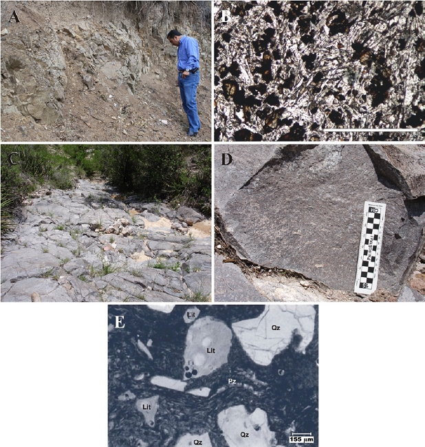Characteristic field and petrographic appearance of Paleogene units. A. San Isidro unit [Late Eocene-Early Oligocene]: The locality lies close to the namesake gully [Barranca de San Isidro], ~4 km SW of San Nicol&aacute;s Tolentino. Deeply weathered andesitic-basaltic lava flows illustrating the common appearance of this unit. North lies to the left of picture. B. Photomicrograph of the San Isidro unit [10X, plane light]: The rock is a microporphyritic pyroxene andesite; notice the pyroxene microphenocrystals set in a groundmass of plagioclase and biotite mircrolites. Bar = 1 mm. C. "Santa Mar&iacute;a Ignimbrite" [Early Oligocene]: The locality lies about 3 km north of Paso del &aacute;guila, on the exposed bedrock of Arroyo El Portillo. The photograph shows the typical megascopic appearance of this unit. North lies to the right of picture. D. Closer view of an ignimbrite block showing some deformed pumice fragments [fiamme]. East lies to the right of picture. E. Photomicrograph of "Santa Mar&iacute;a Ignimbrite" [4X, plane light]: The rock is a vitric-crystal, welded, rhyolitic ash-flow tuff; notice the collapsed pumicite fragments [pz], the large quartz crystals [Qz], and two andesitic xenoliths [Lit].