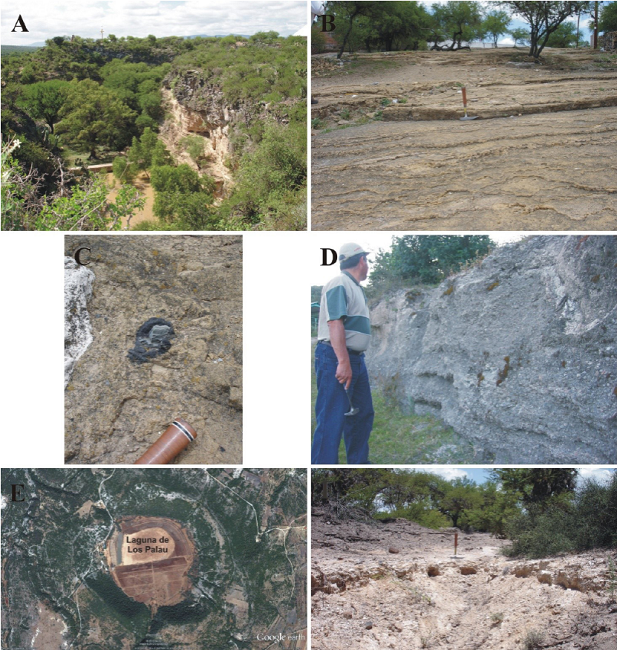 Characteristic field appearance of Quaternary units II. A. Las Joyas unit [Late Pleistocene]: The locality lies ~0.35 km SE of Pozo del Carmen. A 4 m thick basaltic lava flow non-conformably overlies flat laying, siltstone and sandstone strata [fine-grained facies] of the Puerta del Refugio unit. North lies to the left of picture. B-C. Pozo del Carmen unit [Late Pleistocene]: The site is placed on the namesake village's eastern limit. B. Thinly bedded, basaltic ash-flow tuff. East lies to the right of picture. C. Crater formed by the ballistic impact of a chert-limestone clast expelled during the volcanic eruption that emplaced this unit; such clast still remains in the crater. East lies to the right of picture. D. Los Palau unit [Late Pleistocene]: The locality lies on the eastern part of the namesake lake. View of the lake's rim inner side showing medium to thick, upward dipping strata of basaltic breccias generated by the explosive eruption that formed the lake. North lies to the left of picture. E. Laguna Los Palau, southwestern San Nicol&aacute;s Tolentino Area, developed on the cauldron of the hydrovolcanic eruption that generated the namesake unit. [Source: Satellite Image Google Earth 6.2]. East lies to the right of picture. F. La Concordia unit [Holocene]: The site lies ~1 km NE of Pozo del Carmen. Friable, clayey siltstone set in medium strata, intercalated by calcrete nodules, and covered by a well indurated, erosion-resistent calcareous zone [Calcisol?]. East lies to the right of picture.