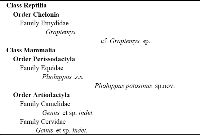 Paso del &aacute;guila local fauna, Clarendonian [early Late Miocene] San Nicol&aacute;s Formation, San Luis Potos&iacute;, M&eacute;xico.