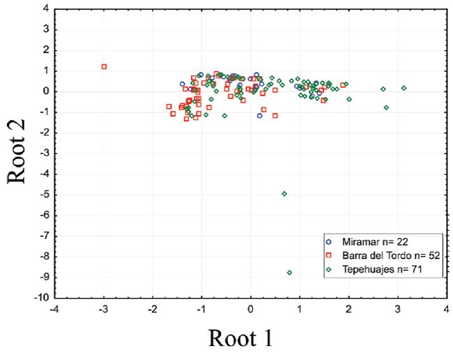 Forward stepwise linear discriminant function analysis (LDFA) for the three beach locations. Roots 1 and 2 represent the best linear fit when variables are reduced to roots.