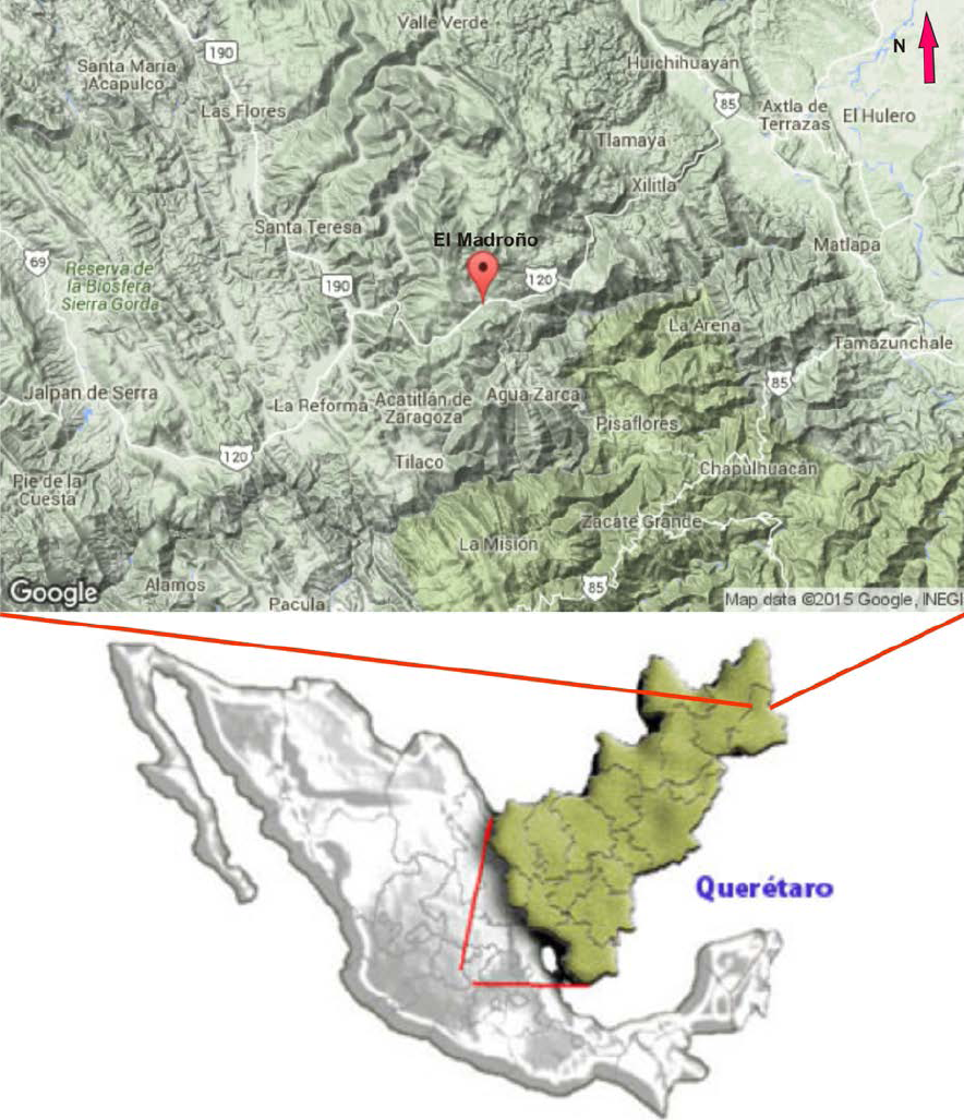 Image taken from Google Maps, with the location of the studied area (21° 06'-21°27'Lat N; 99° 03'-99° 22' Long W).