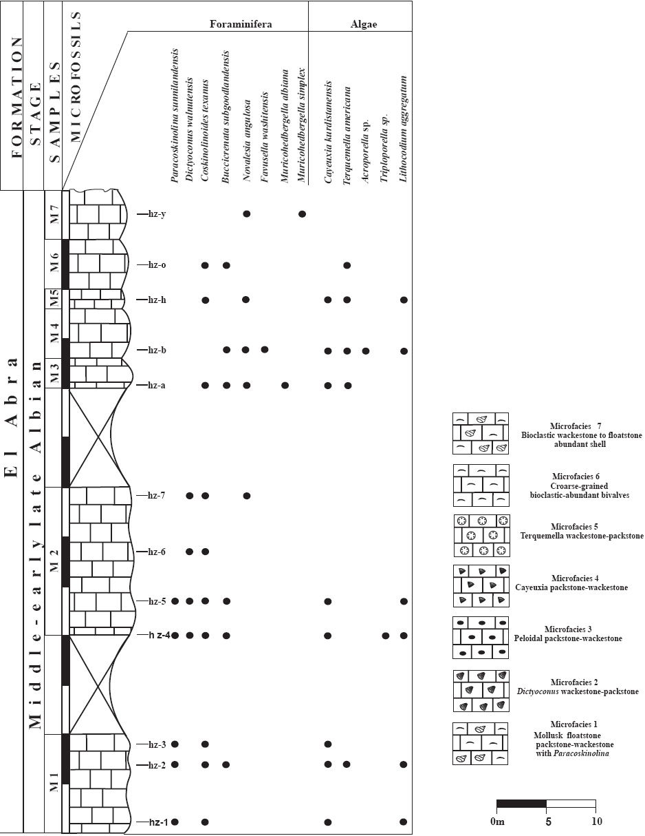Composite stratigraphic column.