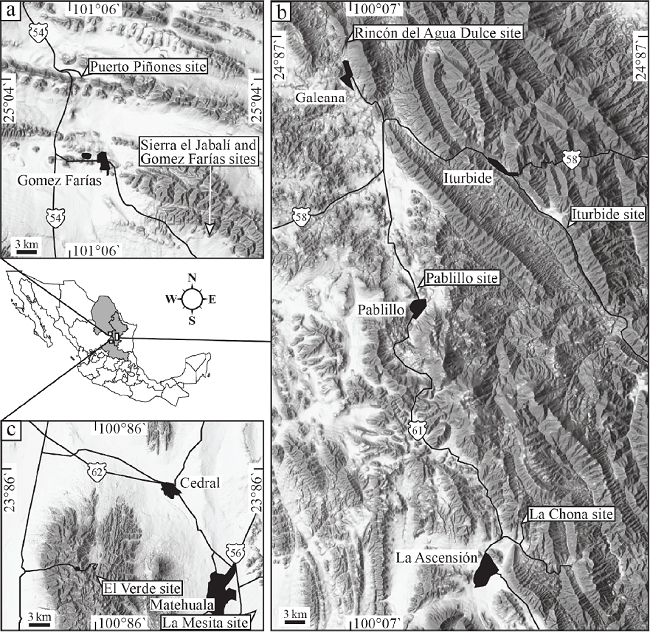 Map of Mexico with insets of northeastern Mexico showing sites, from which aptychi described here were collected. a: localities in southeastern Coahuila State (Puerto Piñones: N25°2'39.813"/W101°3'19.209"; Sierra el Jabalí and Gomez Farías: N24°55'26.591"/W100°56'58.533"); b: localities in southern Nuevo León State; c: localities in northern San Luis Potosí State (El Verde: N23°40'37.343"/W100°51'15.553"). Map modified after INEGI (2015).