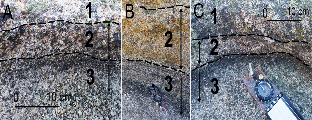 (a), (b) y (c) Ejemplos de tres paredes internas de pilas con indicación de tres zonas bien definidas, (1) Zona superior del borde de la pila con una cobertera de líquenes continua donde el granito presenta un bajo grado de desagregación, (2) zona intermedia entre el nivel máximo de agua en la pila y la zona colonizada por líquenes. Se trata de la zona permanentemente aérea que presenta mayor alteración, (3) zona comprendida entre el nivel máximo de agua en la pila y fondo.