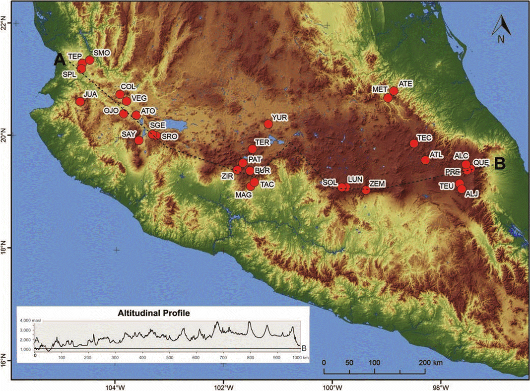 Map with the location of the 30 lakes studied along the Trans-Mexican Volcanic Belt, central Mexico. Abbreviations correspond those in Table 1